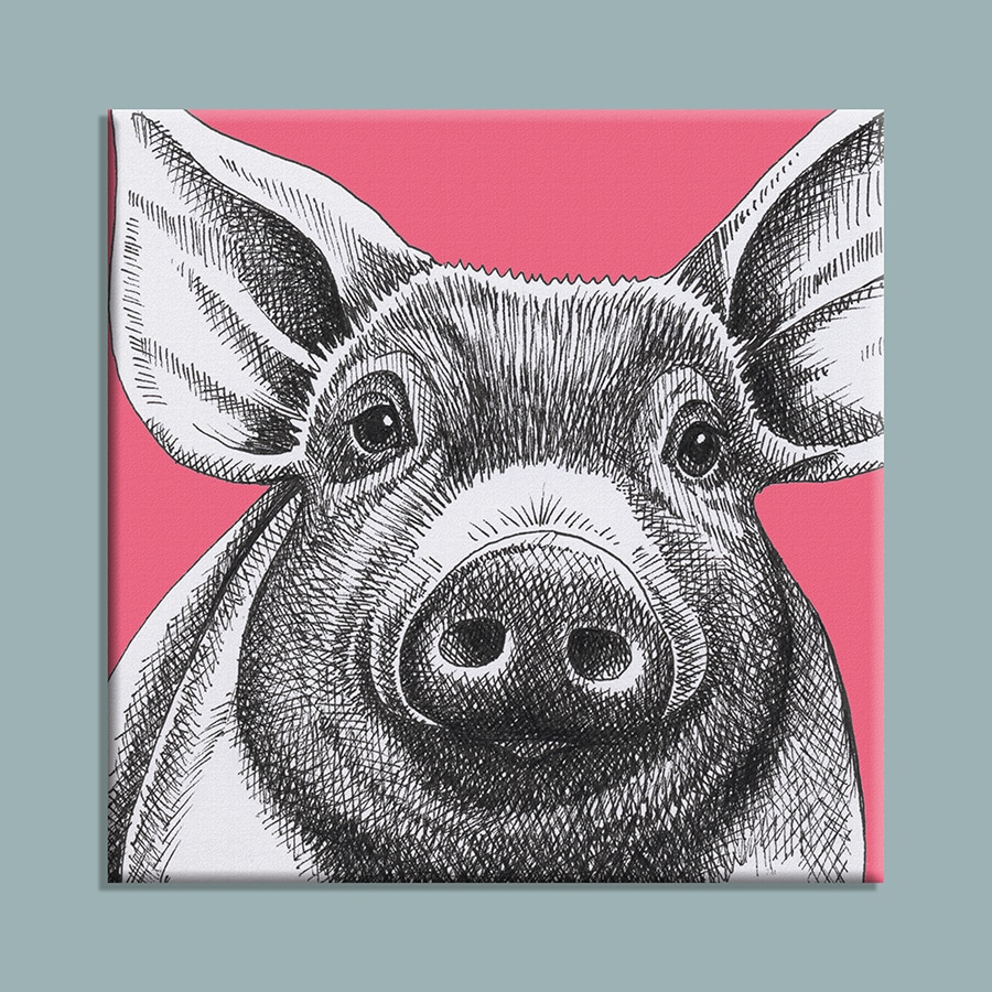 J2A20CP-Pig-canvas-on-background-colour-web