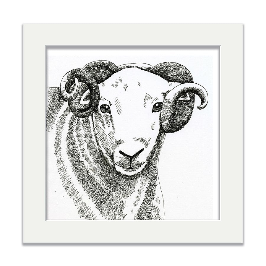 J2A6-Sheep-original-pen-drawing-web