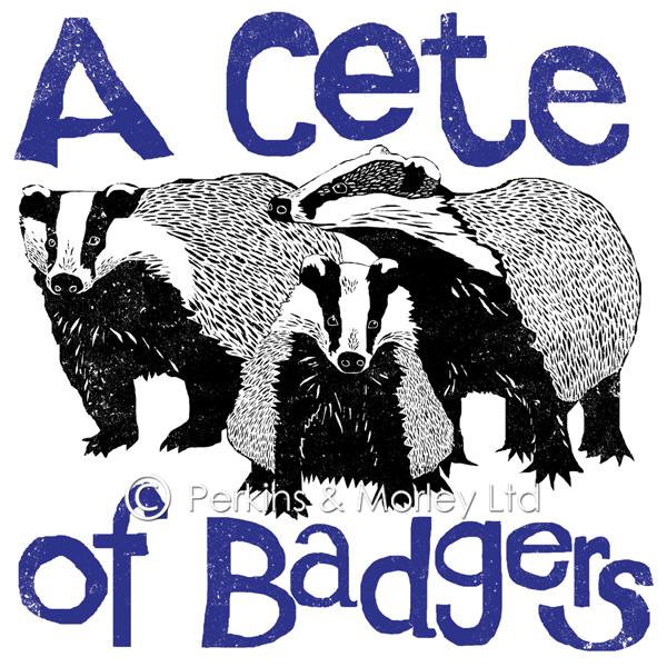 J2CN12NB-cete-of-badgers