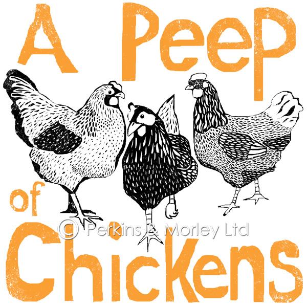J2CN16NB-peep-of-chickens