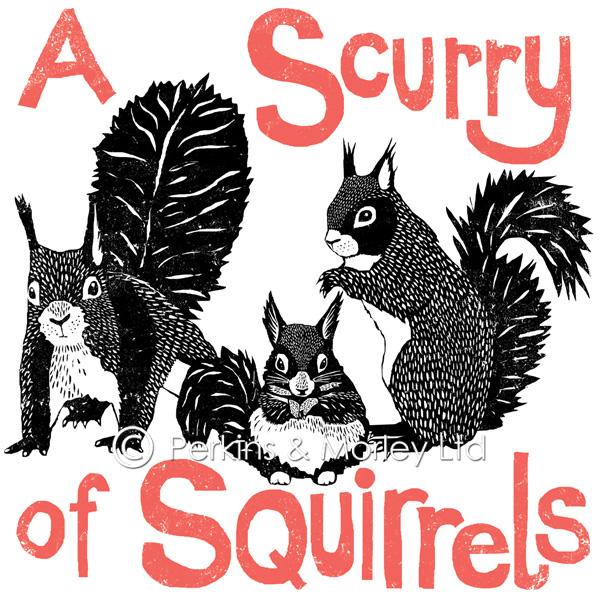 J2CN24NB-scurry-of-squirrels