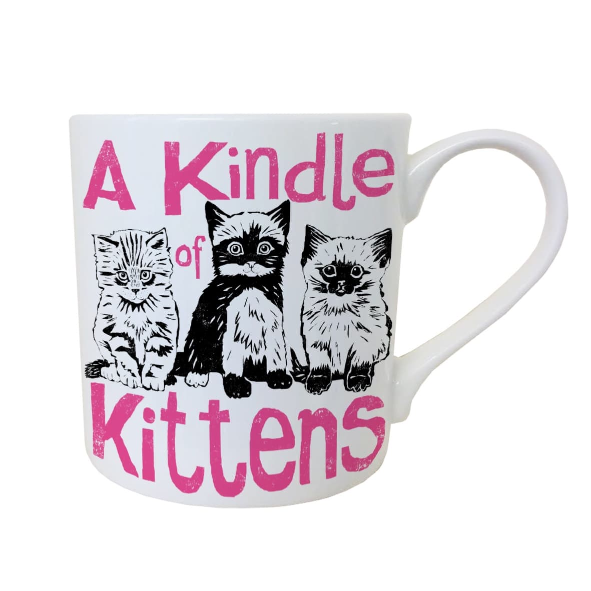 Kindle of Kittens mug
