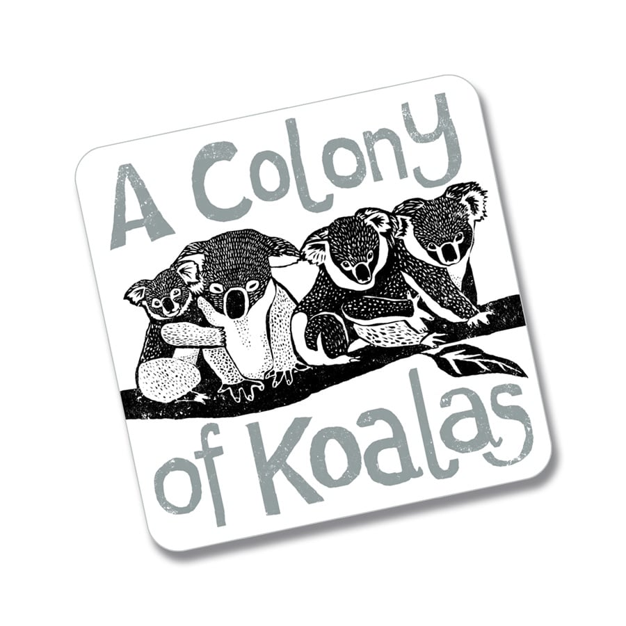 colony of koalas fridge magnet
