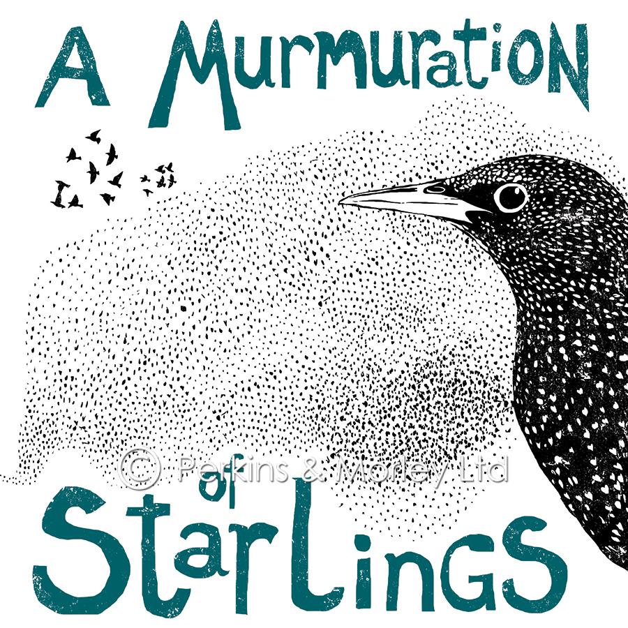 J2CN40-Murmuration-of-Starlings-square-web
