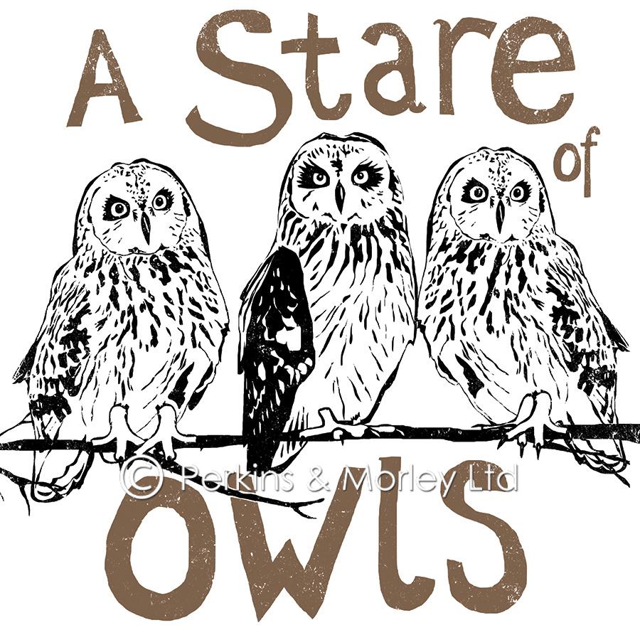 J2CN42-Stare-of-Owls-square-web