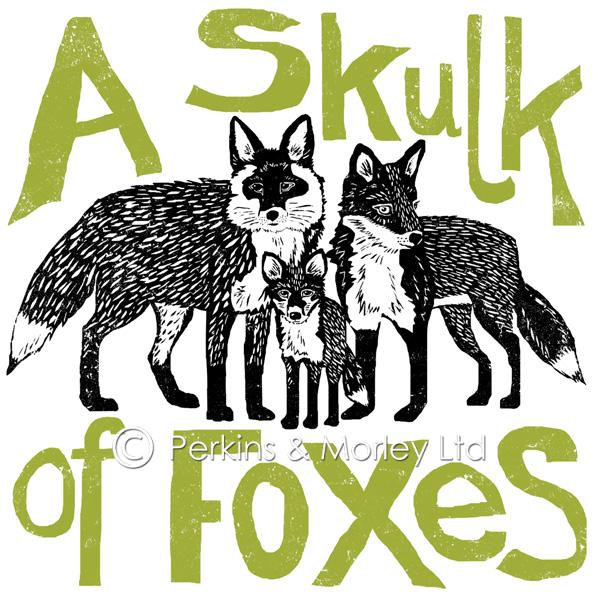 J2CN4NB-skulk-of-foxes