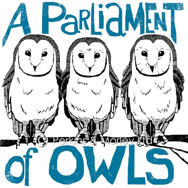 J2CN5NB-parliament-of-owls