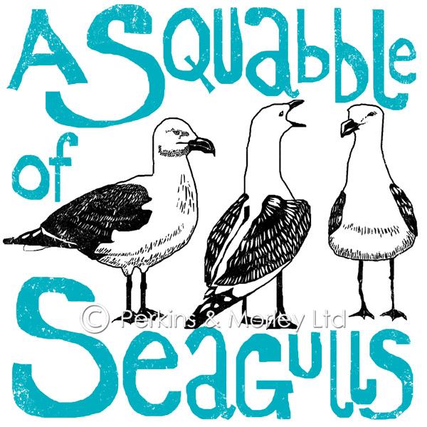 J2CN7NB-squabble-of-seagulls
