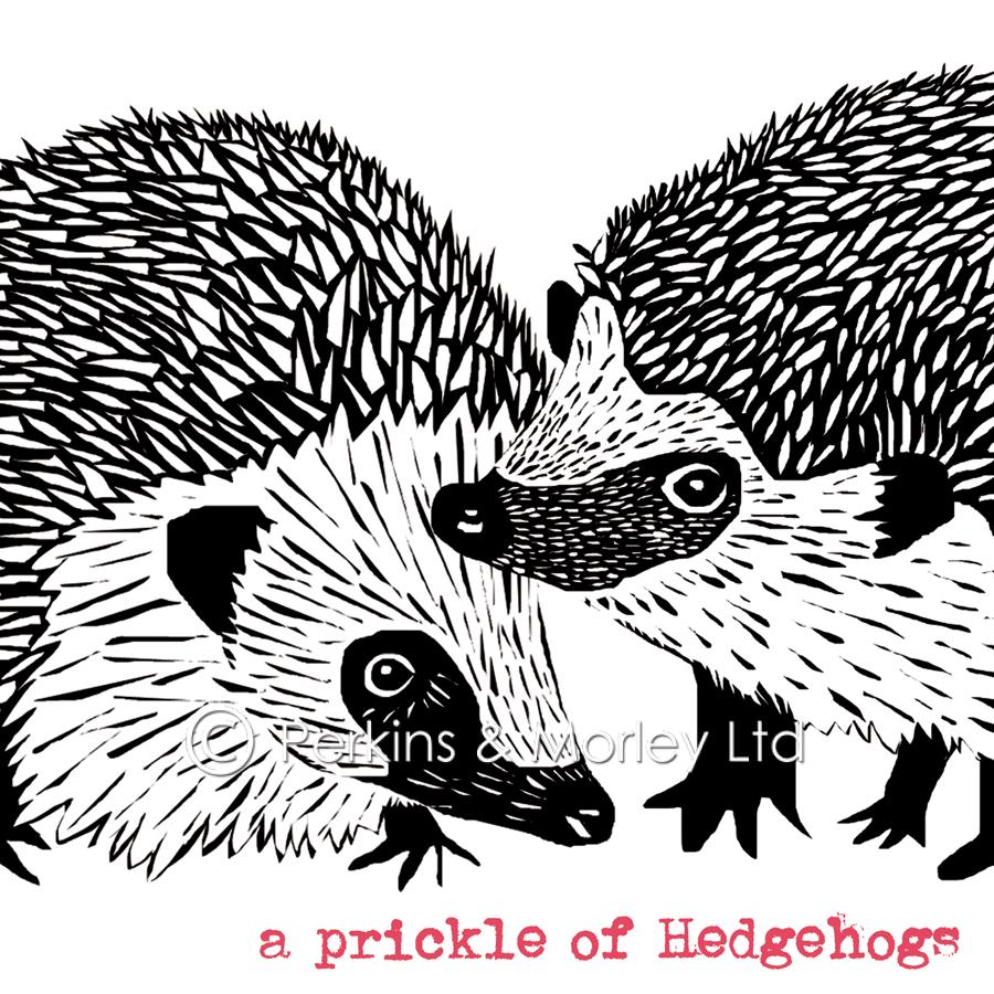 J2RC1-Prickle-of-Hedgehogs-card