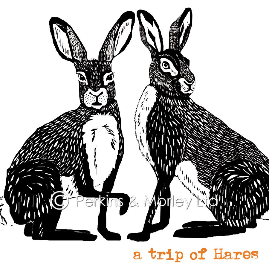 J2RC2-Trip-of-Hares-card