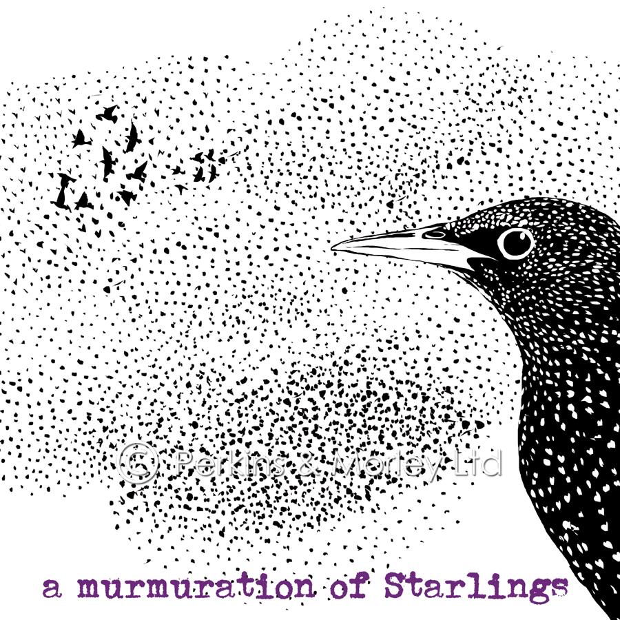 J2RC9-Murmuration-of-Starlings-card