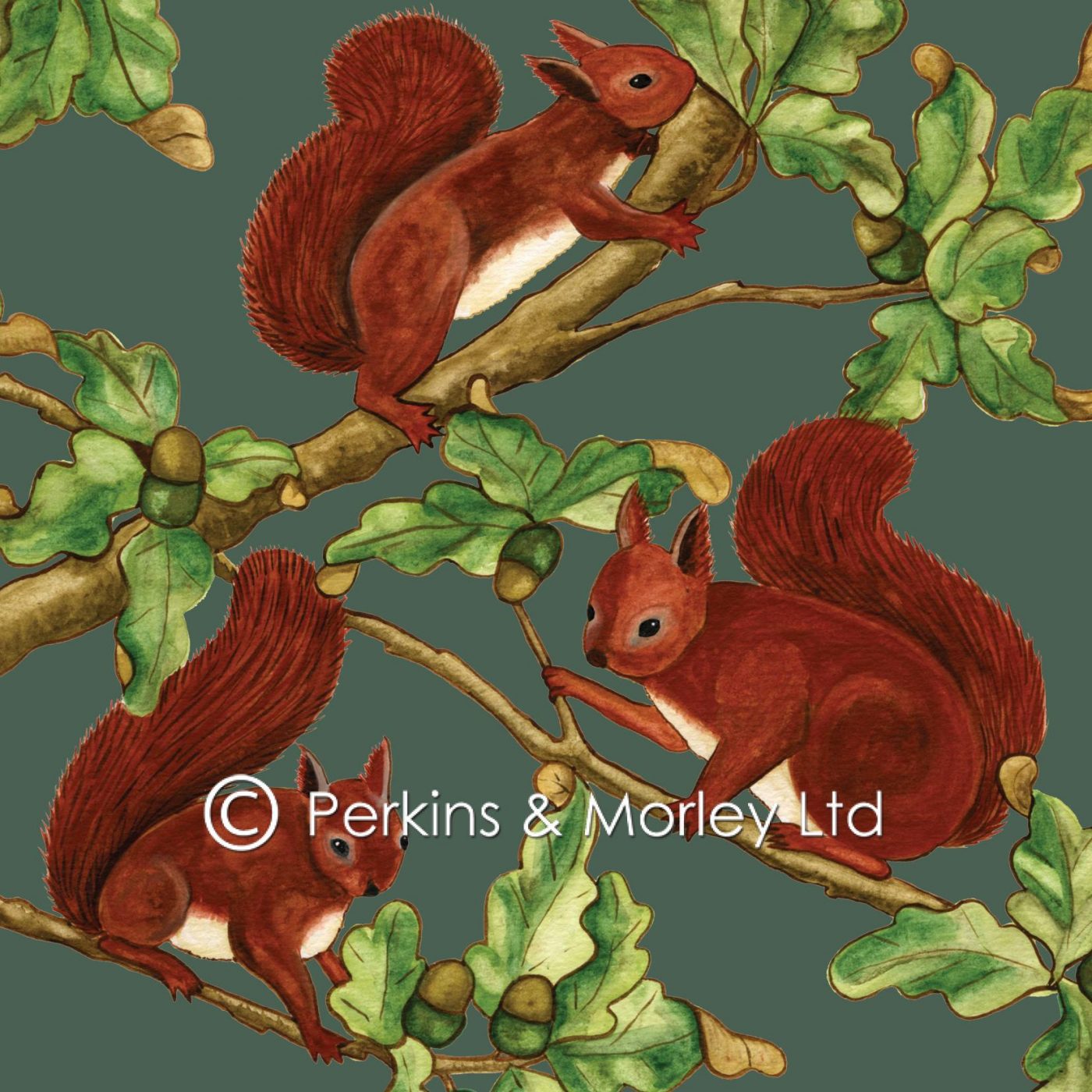 J2VA13-Red-Squirrels-card-140