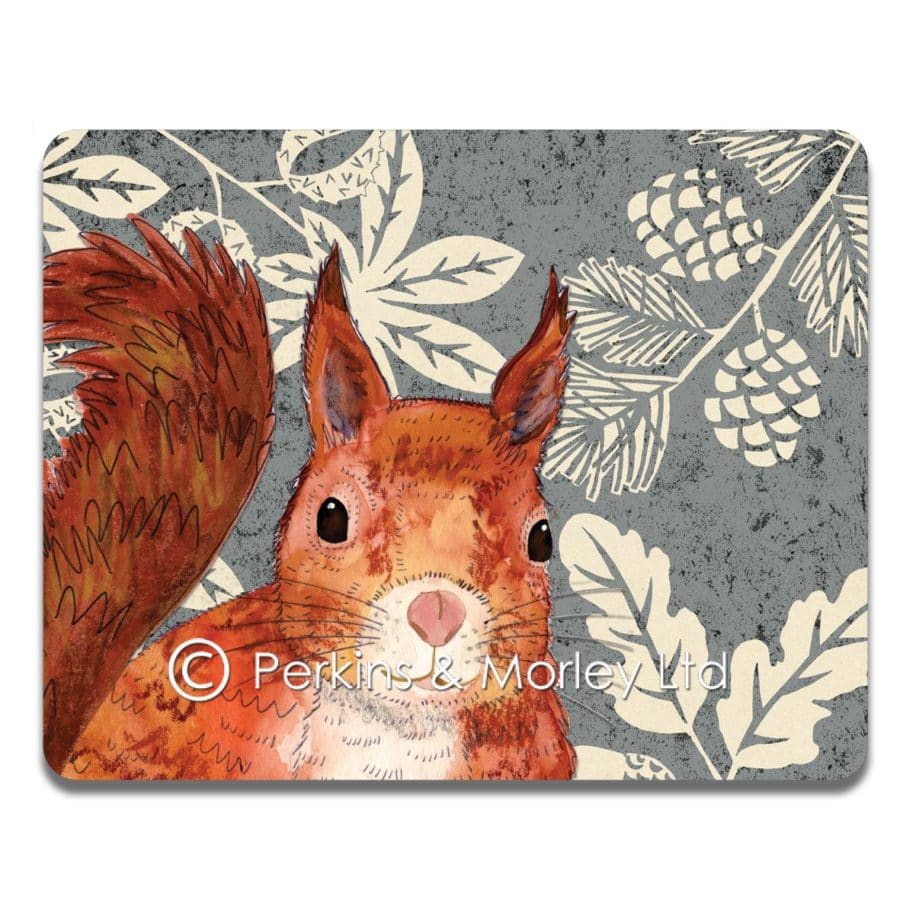 J2WW1TM-Red-Squirrel-tablemat-photo-e1500029366648