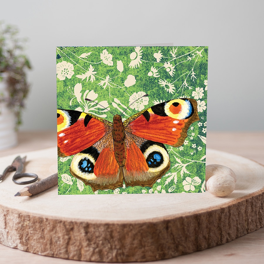 J2WW29-Peacock-butterfly-card-photo-square-web