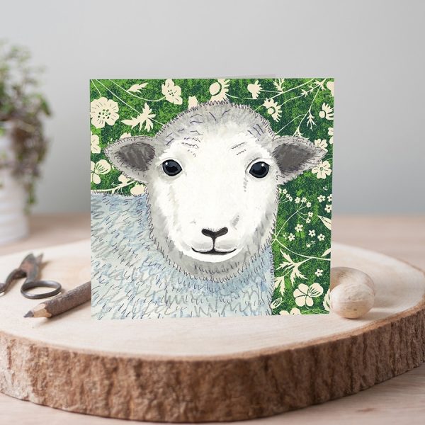 J2WW35-Herdwick-Sheep-card-photo-square-web