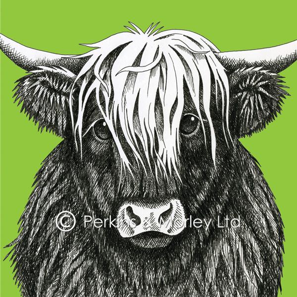 j2a13-highland-cow-card