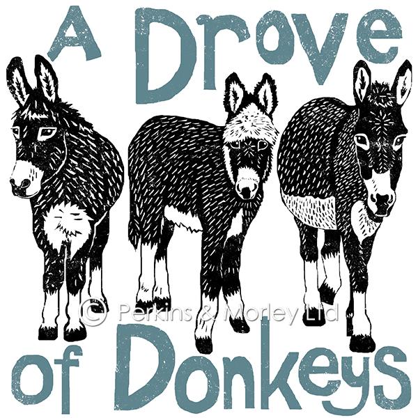 j2cn20-drove-of-donkeys