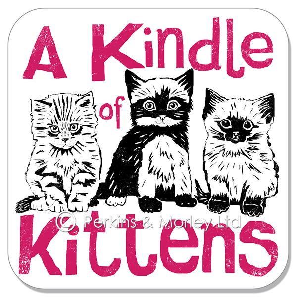 j2cn27c-kindle-of-kittens-coaster