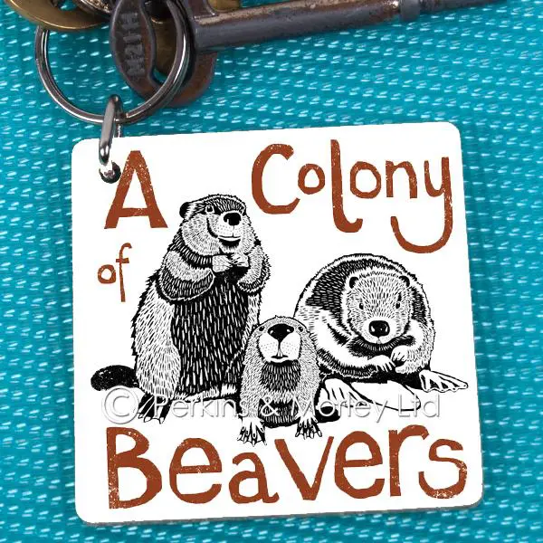 j2cn32k-colony-of-beavers-key-ring