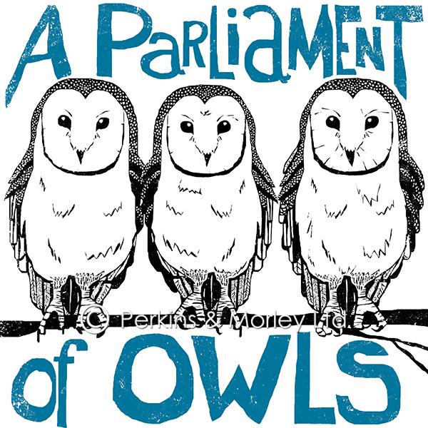 j2cn5-parliament-of-owls