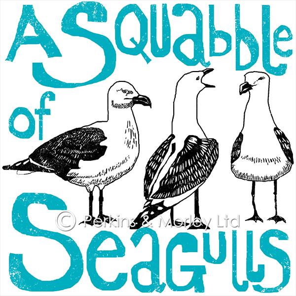 j2cn7-squabble-of-seagulls