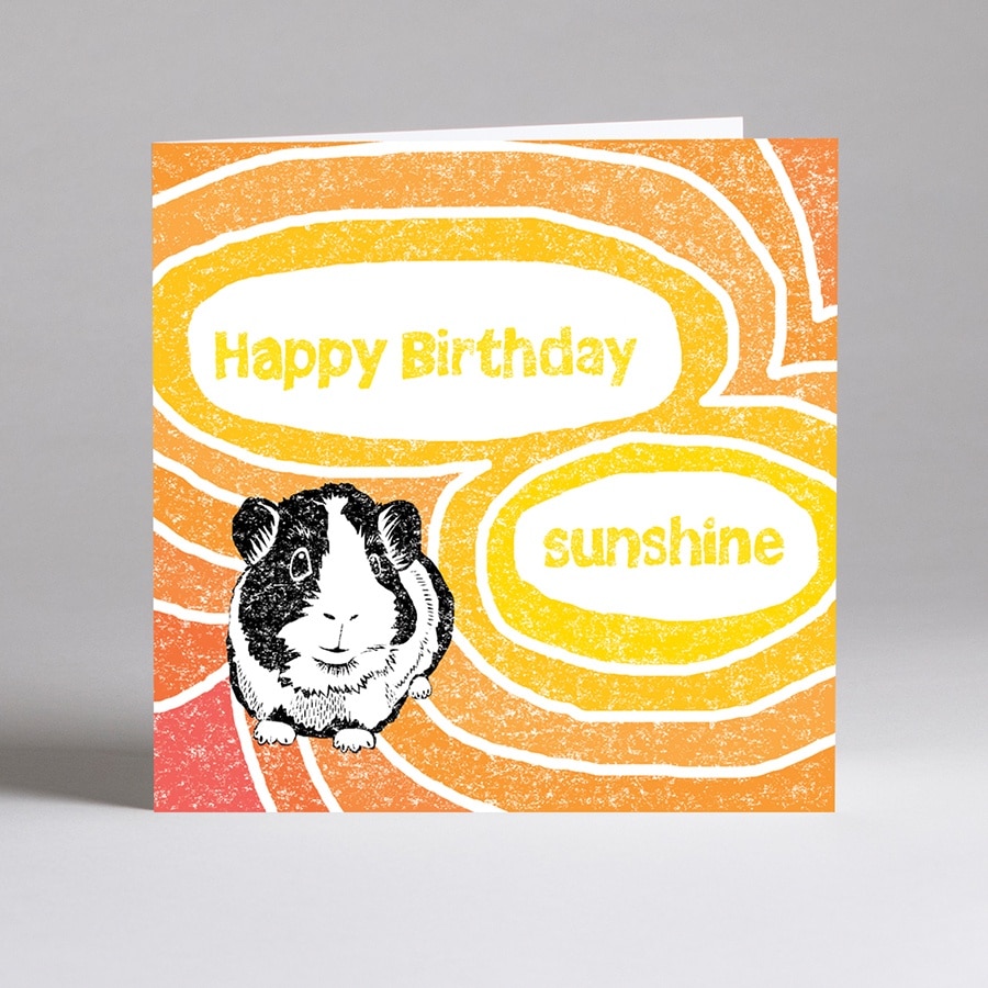 J2D6-Happy-Birthday-sunshine-card-photo-web