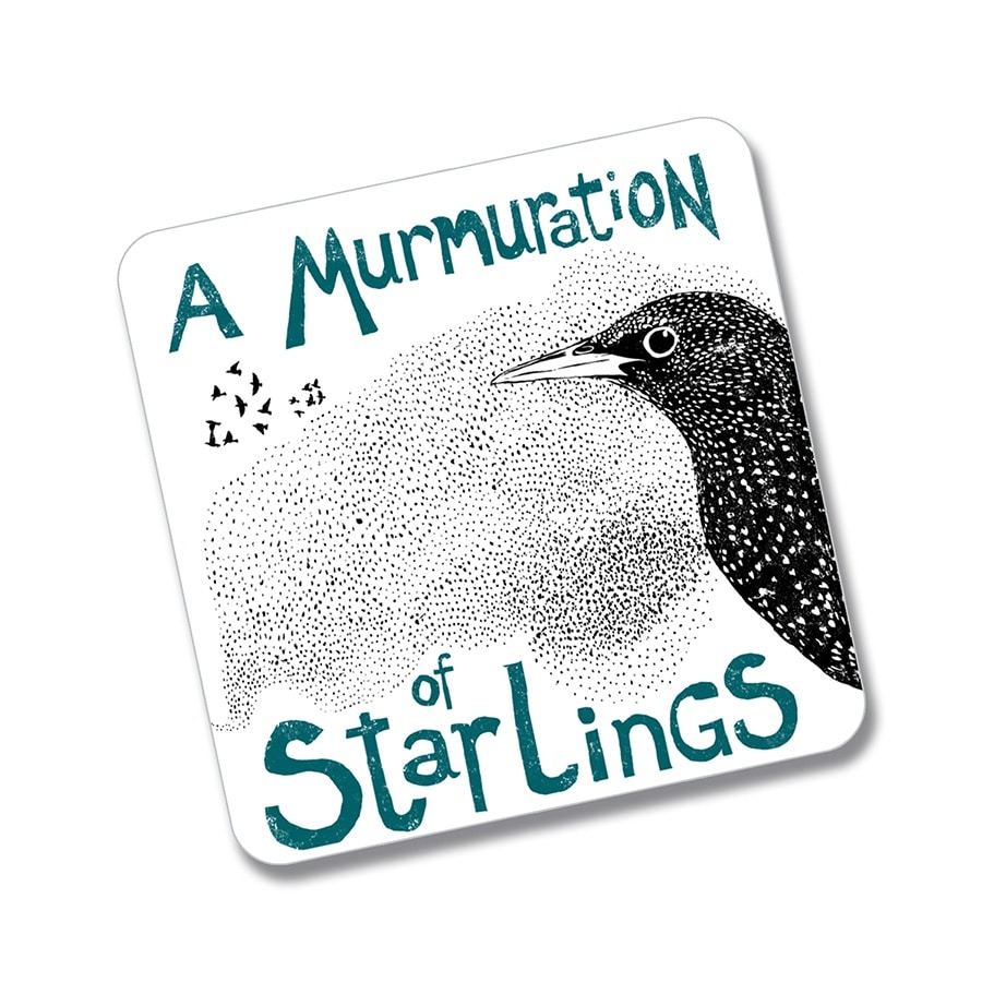 Murmuration of Starlings fridge magnet