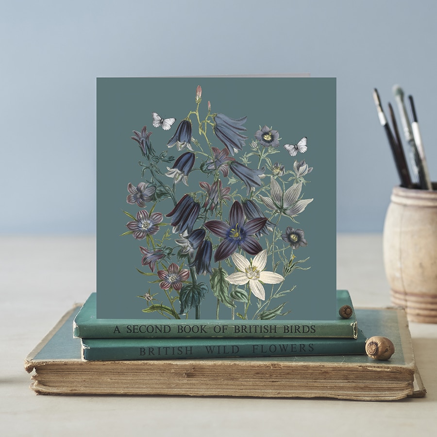 Canterbury Bell | Love in the Mist Card