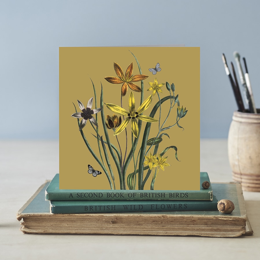 Starflowers Vintage Garden Card