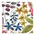 Floral Colour Napkin - Pack of 2