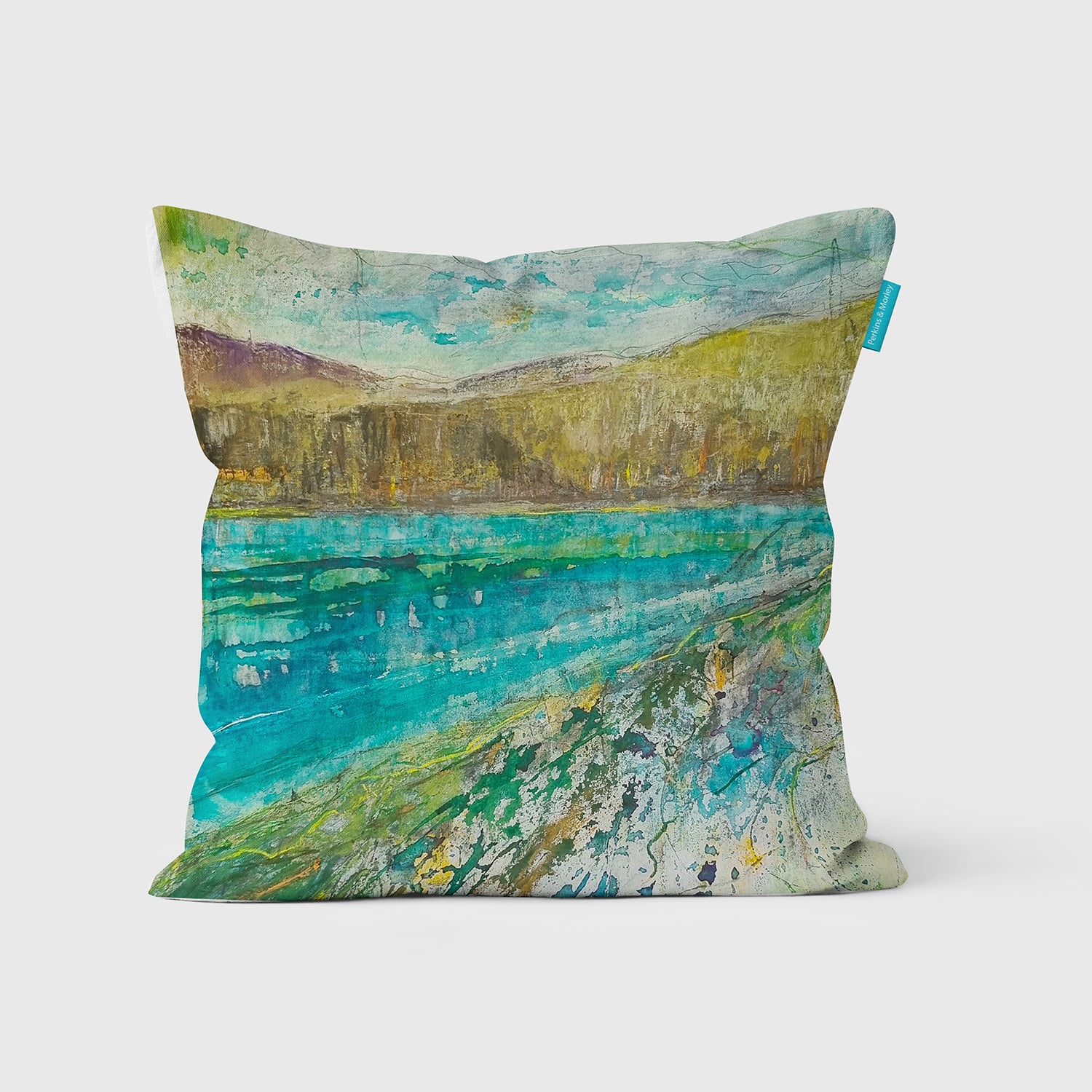 Hidden Secrets Within Cushion